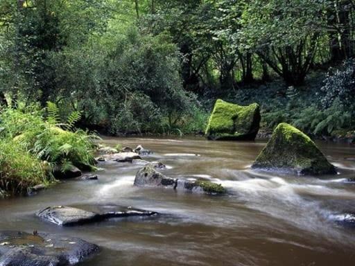 Glamping Des 2 Marguerites Hotell Bazoches-au-Houlme Exteriör bild